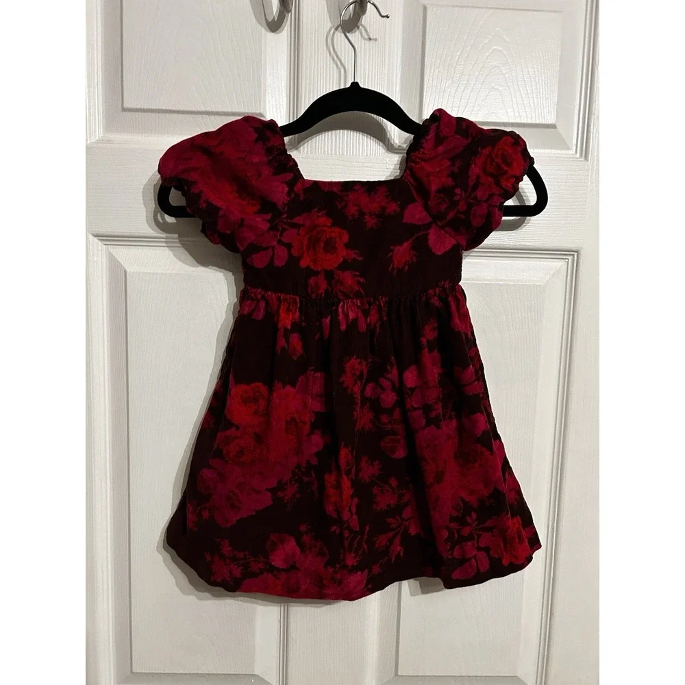 Baby Gap 4‎ Corduroy dress puff sleeve floral Print red delicious Pink